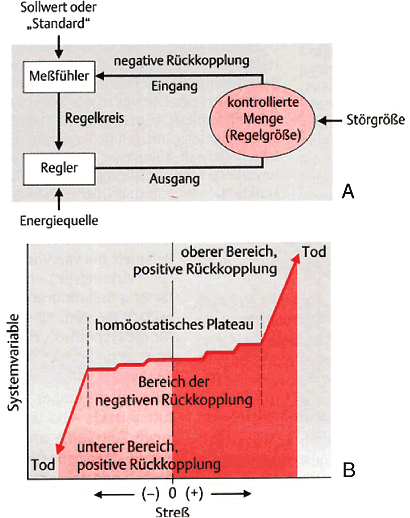 Elemente der Kybernetik