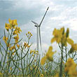 Energieökologische Modellstadt Ostritz - St. Marienthal