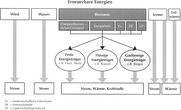 Erneuerbare Energien und deren Energiewandlung