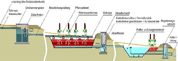 Fließschnitt der Pflanzenkläranlage