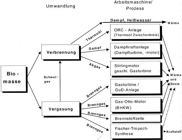 Systematik der Umwandlungsschritte und Prozesse zur Erzeugung von Wärme und Strom aus fester Biomasse