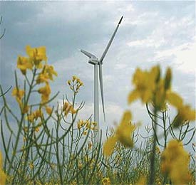 "Wind der Veränderung"