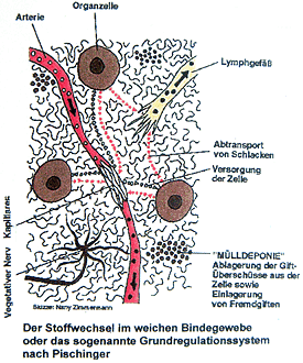 Pischinger Raum