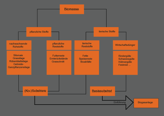 Basis- und Kosubstrate einer Biogasanlage