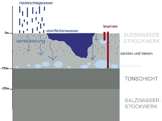 Versickerung des Niederschlagwassers